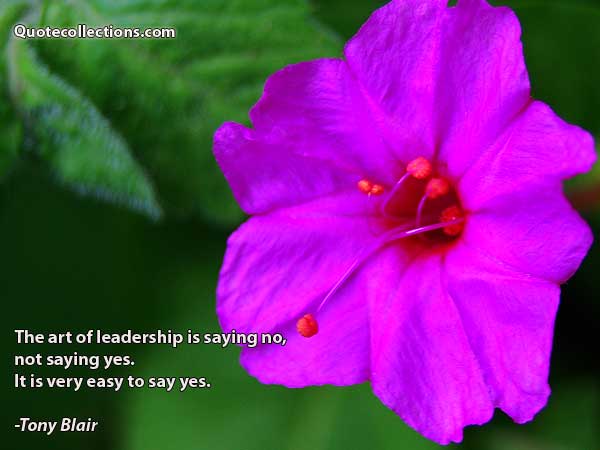 Tony Blair Quotes3